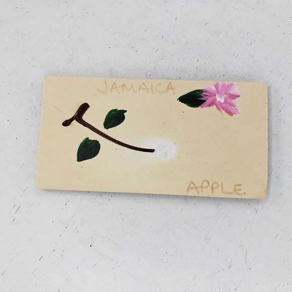 Jamaica Apple Hand Painted Handmade Magnet Kitchen Fridge - Picture 1 of 3